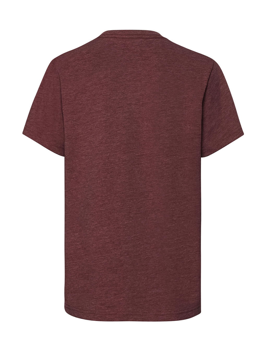 158_00_446_b-2019-nc_01