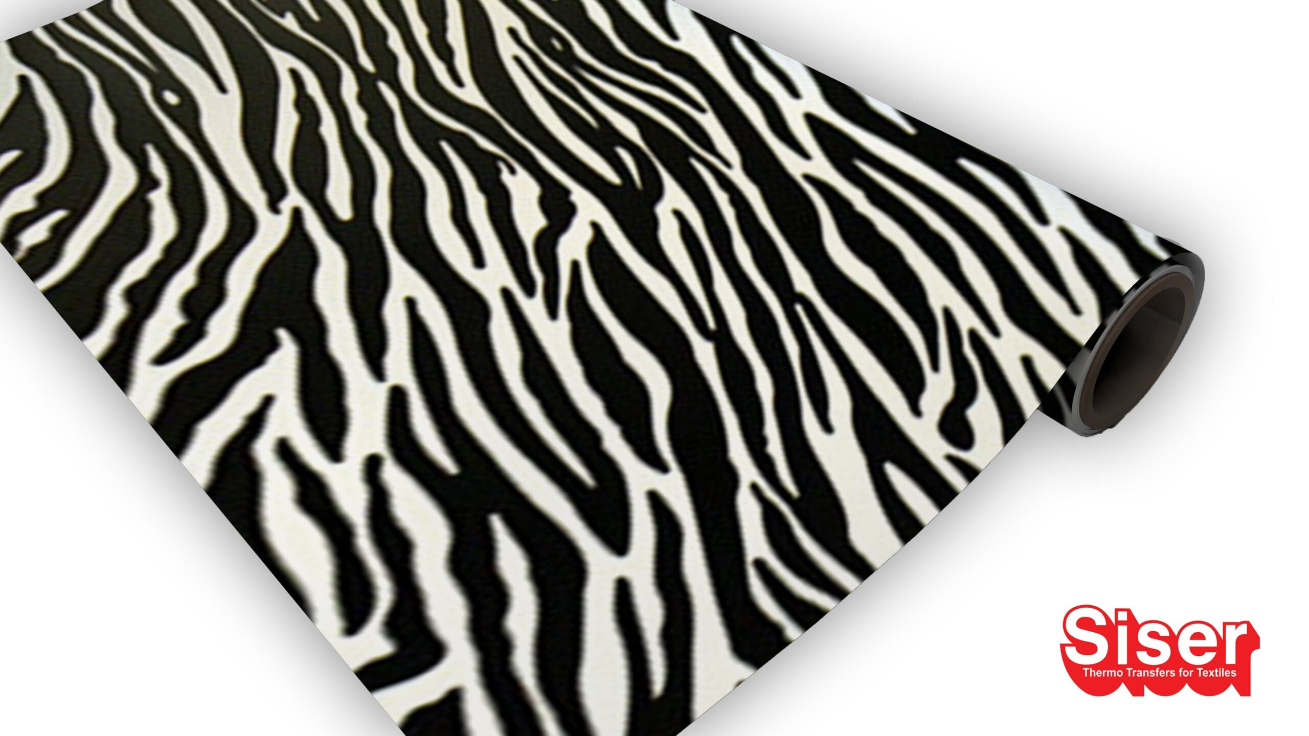 Zebra old
