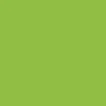 H50058 Apple Green