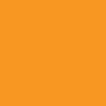 H50023 Neon Orange