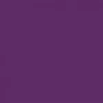 040 Violet