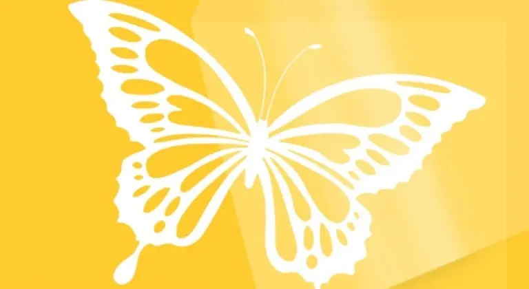 Transfer sheet being peeled off a design of a butterfly in white heat transfer vinyl on a yellow T-shirt.'